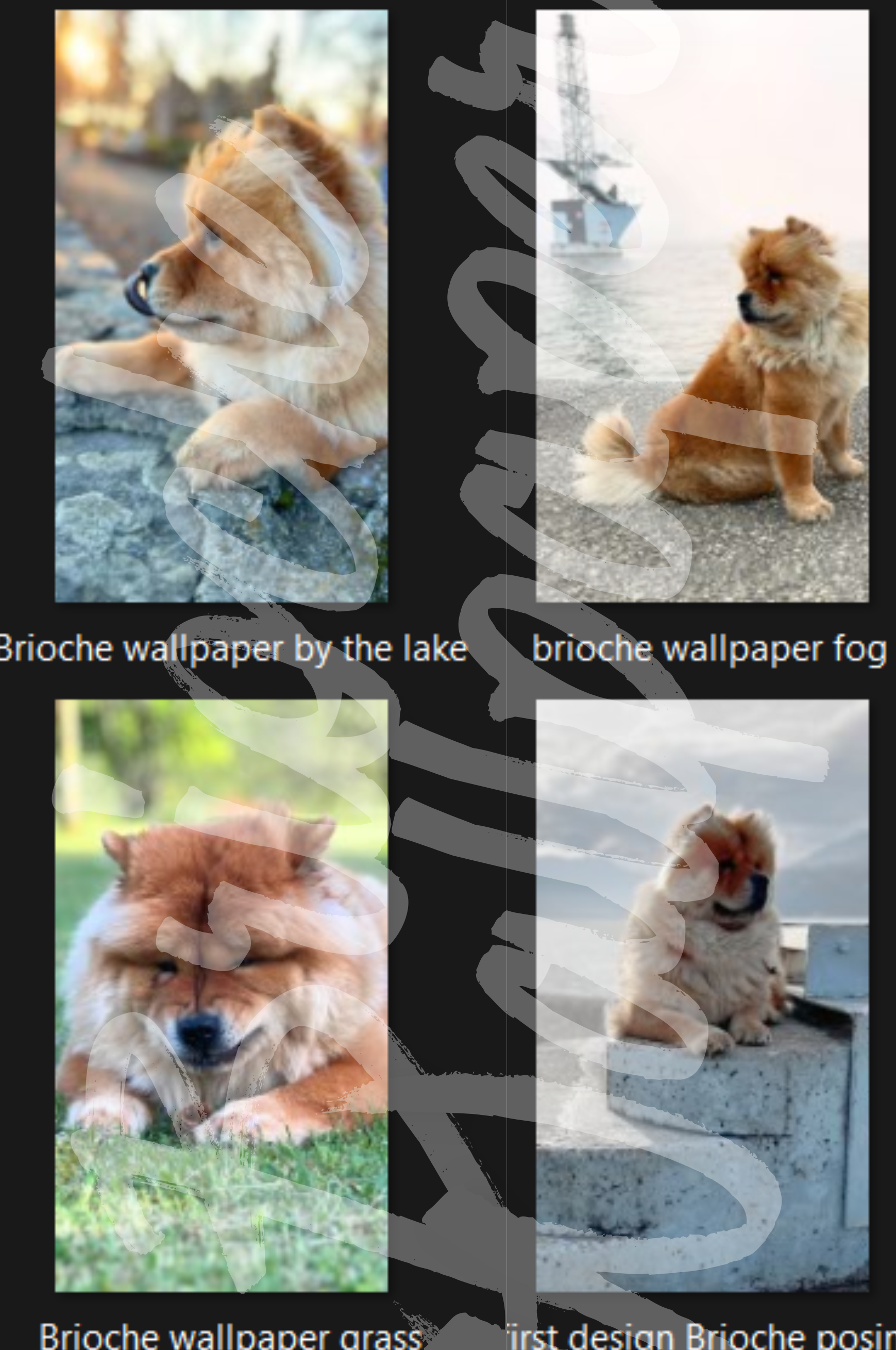 Brioche Phone wallpapers pack of 4