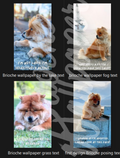 Brioche Phone wallpaper pack of 8
