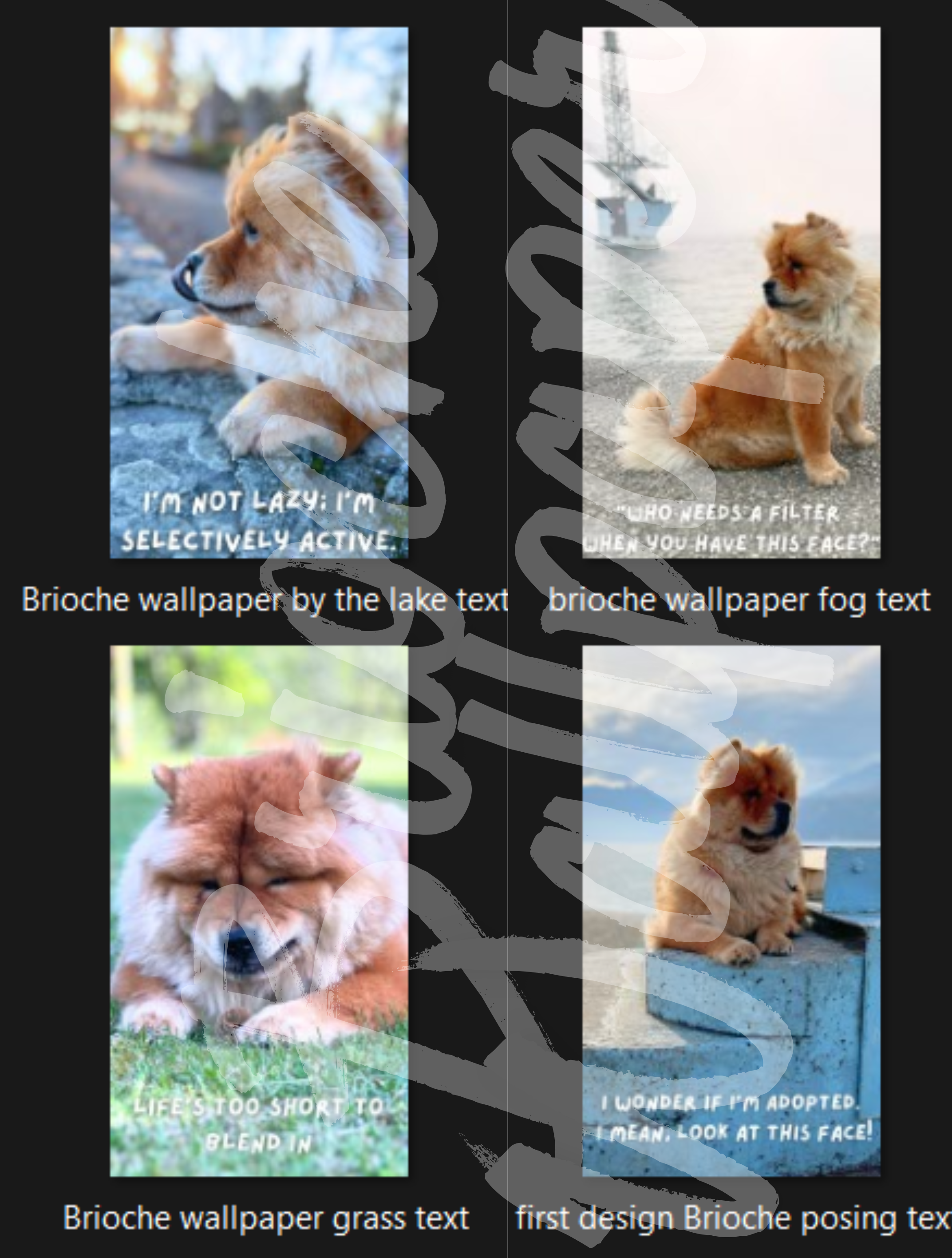 Brioche Phone wallpaper pack of 8