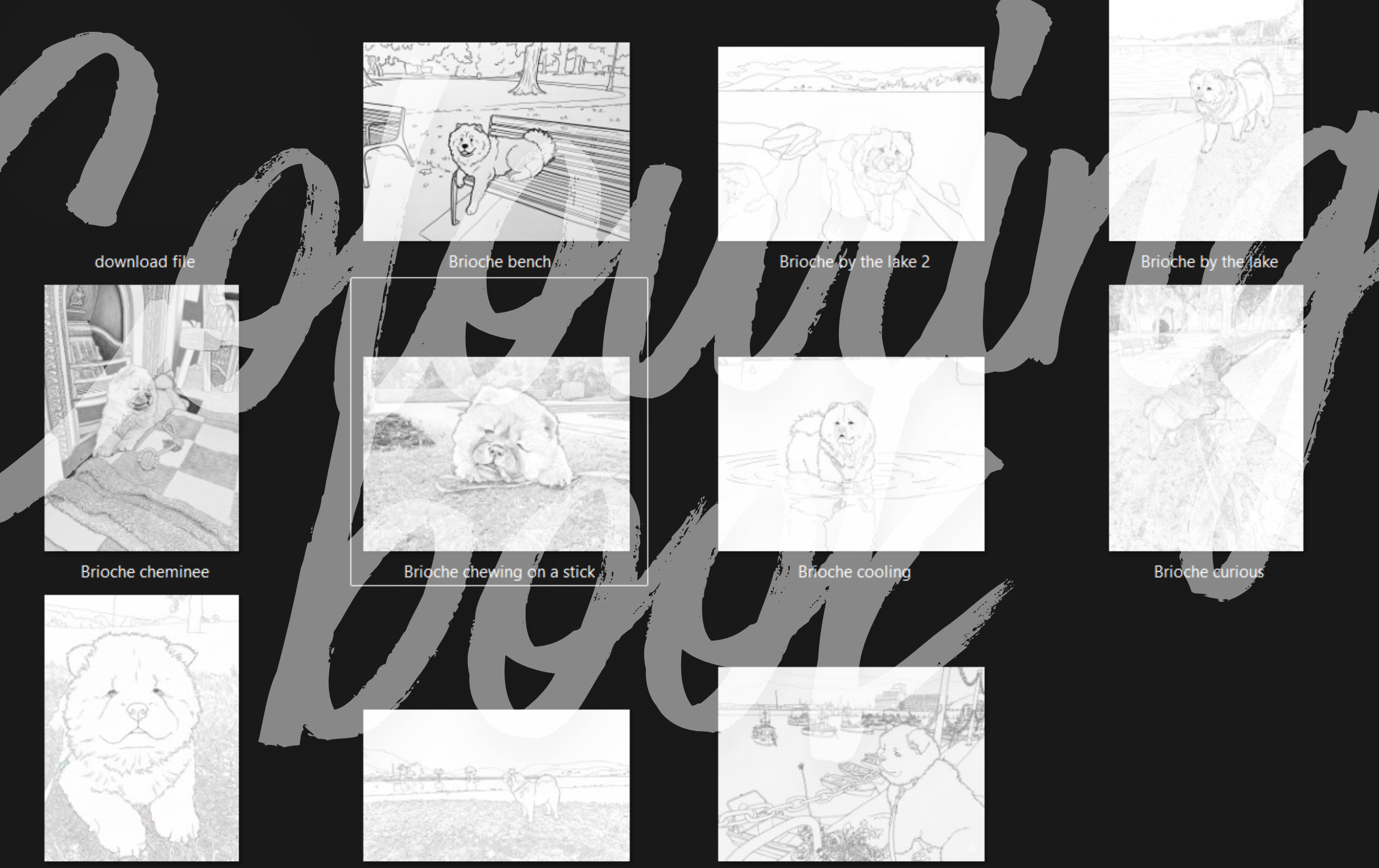 Paw-sonal coloring book, Pack of 10