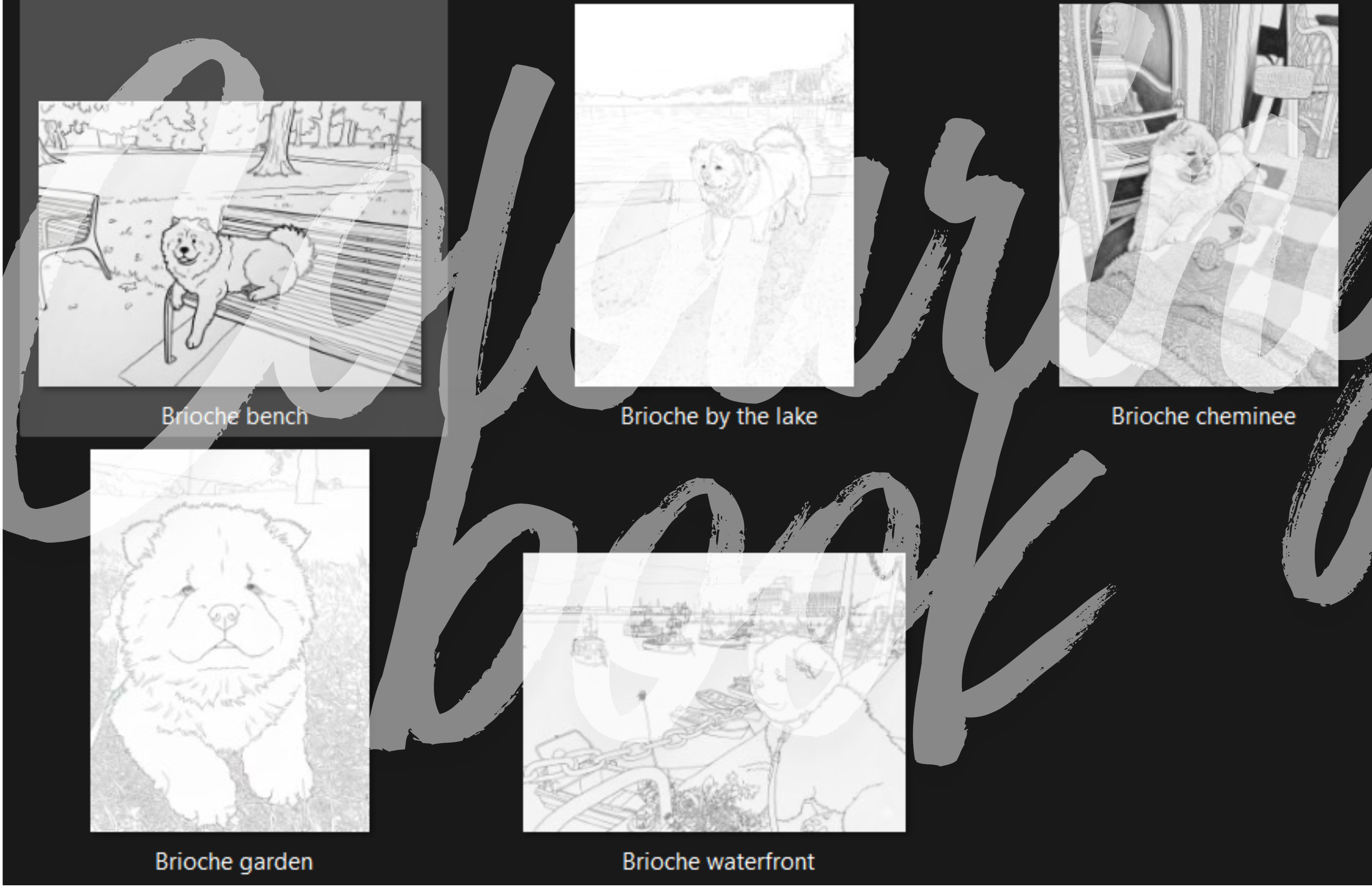 Paw-sonal coloring Book, Pack of 5